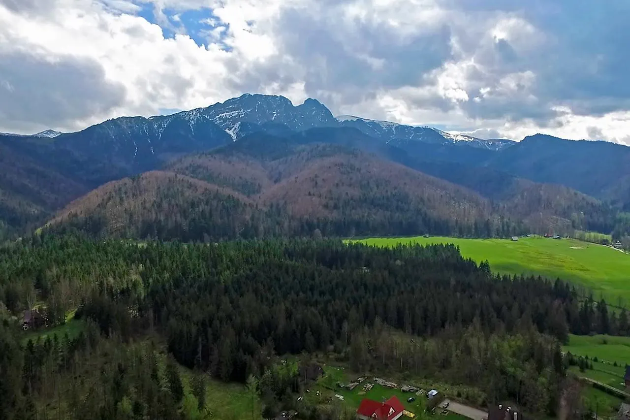 Hotel Nałęcz City Center Zakopane